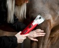 LIVMAN Black Beauty Clipper